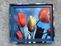 6-TULIPS-8x10-200