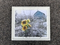 SUNFLOWER-SNOW-8x10-150