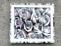 WHITE-ROSES-8x10-200-1